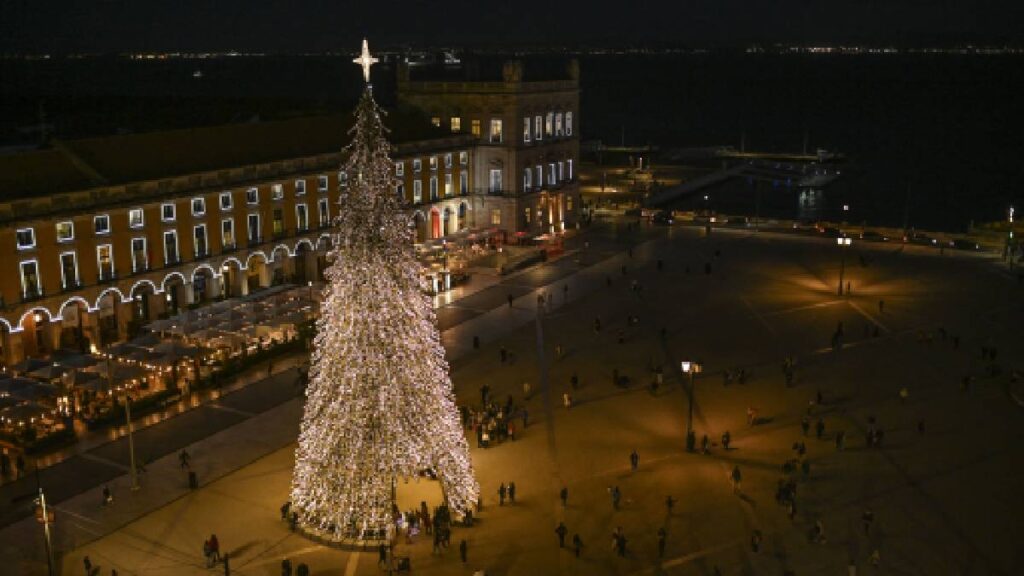 árboles de Navidad más populares