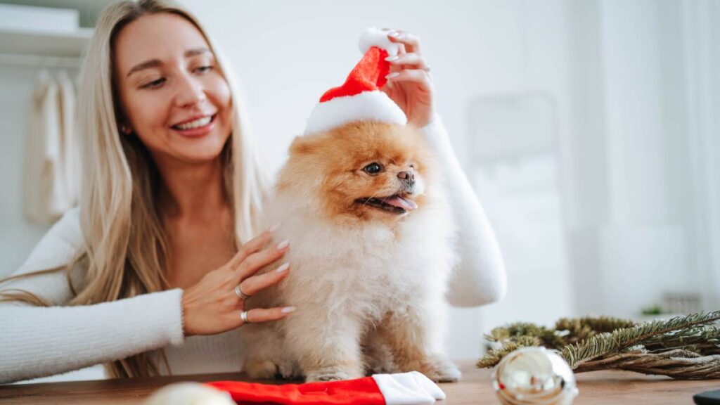 Concurso de disfraces “Navidad con huellitas”, inscribe a tu perrito y gana hasta 3 mil pesos