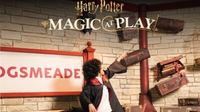 Harry Potter Magic At Play