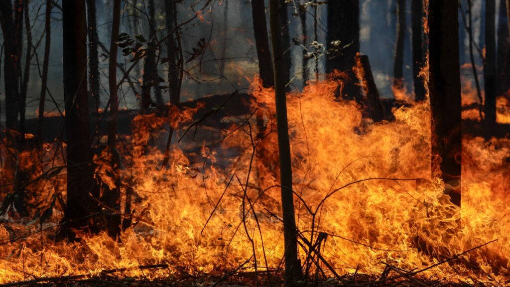 Incendios en America del Sur