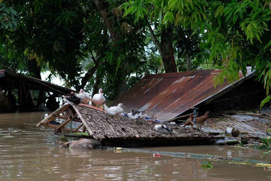 La tormenta Trami dejó más de 100 muertos