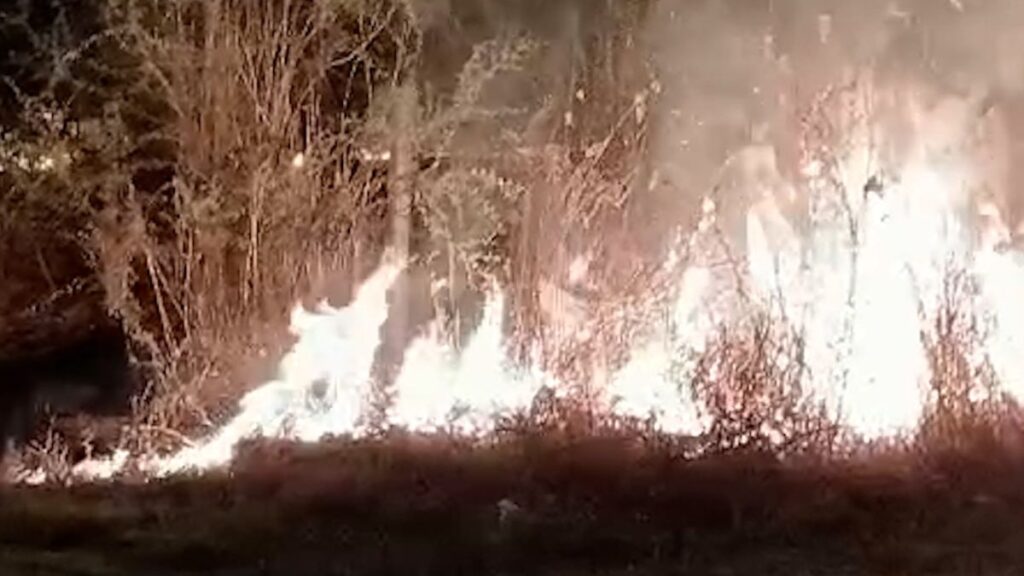 Madres buscadoras denuncian que desconocidos prendieron fuego a un barranco donde exploraban fosas clandestinas en Zapopan