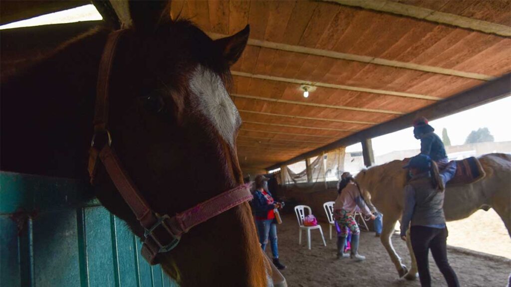 El video de la mamá a caballo se viralizó en redes sociales.