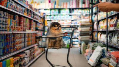 Industria en torno a las mascotas tiene gran impacto en el medio ambiente