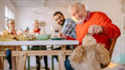 perro sobras cena Navidad