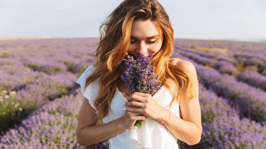 Plantas para la abundancia de Año Nuevo 2025 que debes tener en casa