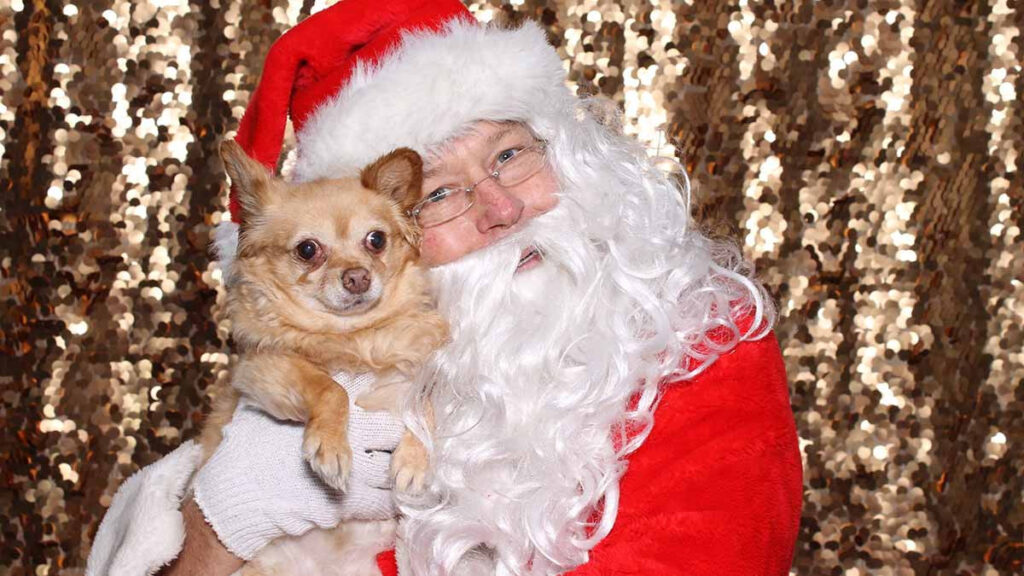 Santa promueve la adopción tomándose fotos con las mascotas y sus dueños en La Paz