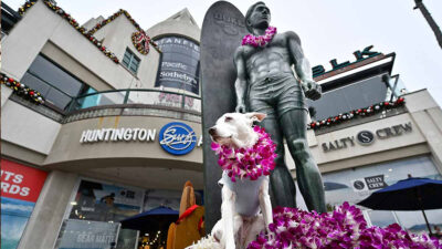 Sugar es el primer perro en ingresar al Salón de la Fama del Surf