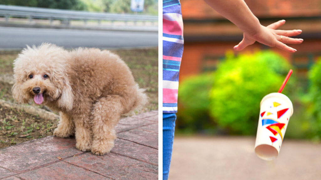 El gobierno de la CDMX te dice qué hacer si tu vecino no levanta las heces de su perro o tira basura en la calle