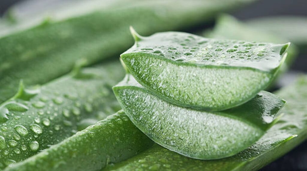 Aloe Vera Cabello