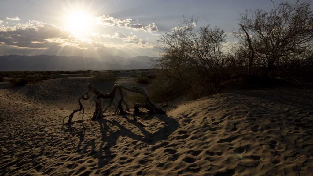 cambio climático