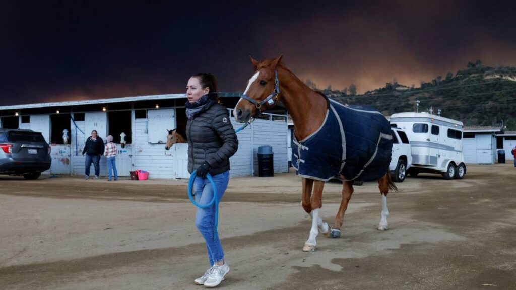 Plan de evacuación con mascotas ante emergencias