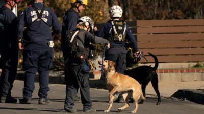 Hoteles Refugio Mascotas Incendios Los Angeles