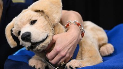 Jennie, el perro robótico diseñado para adultos mayores con demencia