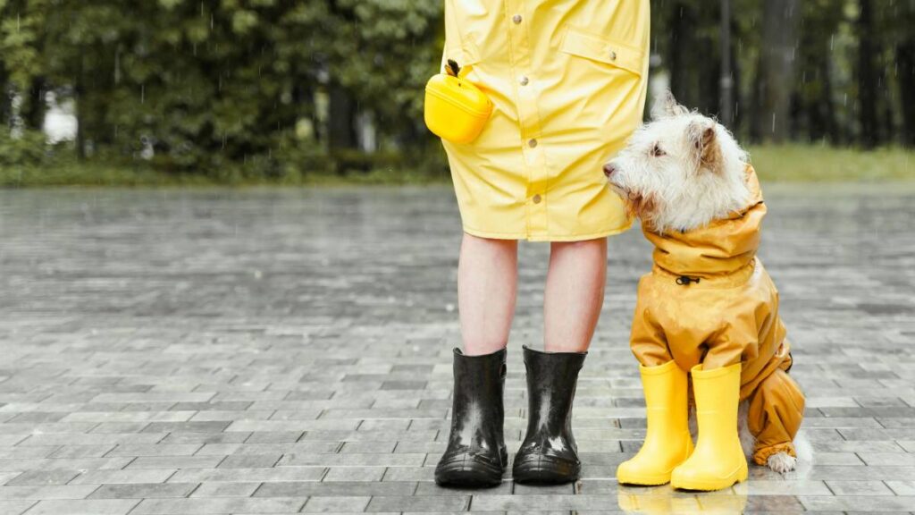 Las mejores telas para la ropa de perro