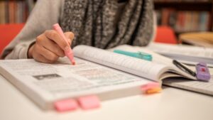 En México hay 50.5 millones de personas con rezago educativo: INEA