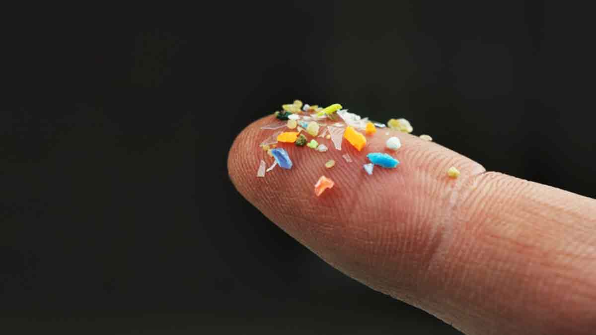 Microplásticos podrían causar problemas de fertilidad, intestinales y  pulmonares - UnoTV