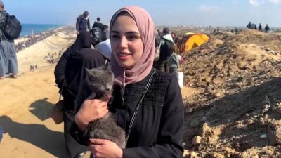 "Ella también pasó hambre": Mujer de Gaza regresa a casa con su gata después de soportar juntas el desplazamiento