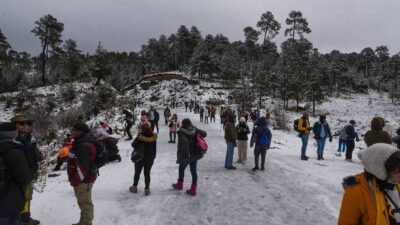 Parque de los Venados en Nevado de Toluca