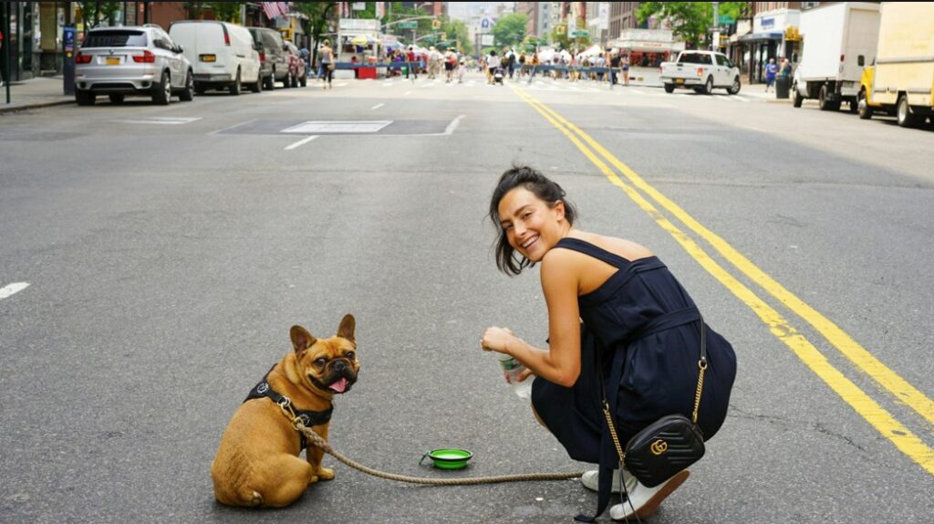 Nueva York Perros