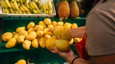 Descubre las ofertas del Miércoles de Plaza en La Comer este 22 de enero de 2025. Ahorra en productos frescos y más para llenar tu alacena.