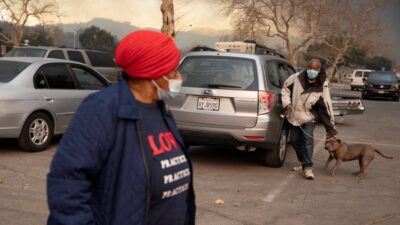 Plan de evacuación con mascotas ante emergencias