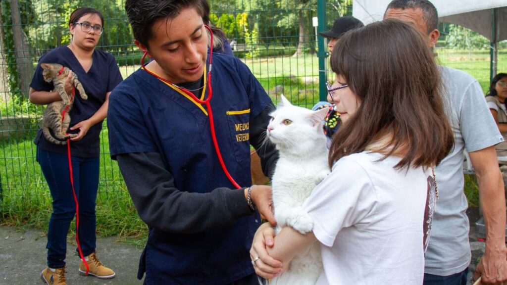 Costos de esterilizaciones para perros y gatos en la UNAM