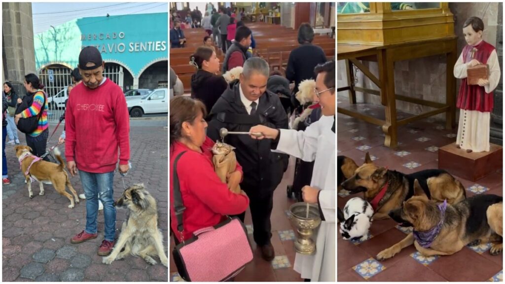 Bendicen a mascotas en iglesias de México, ve tiernos momentos