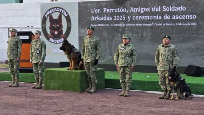 Arkadas en el Perrotón