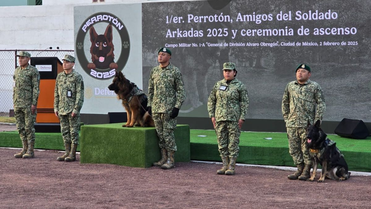 Arkadas se gradúa como soldado en el Perrotón 2025. Foto UnoTV