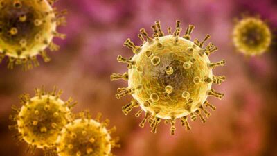 Herpes Zoster Tipos