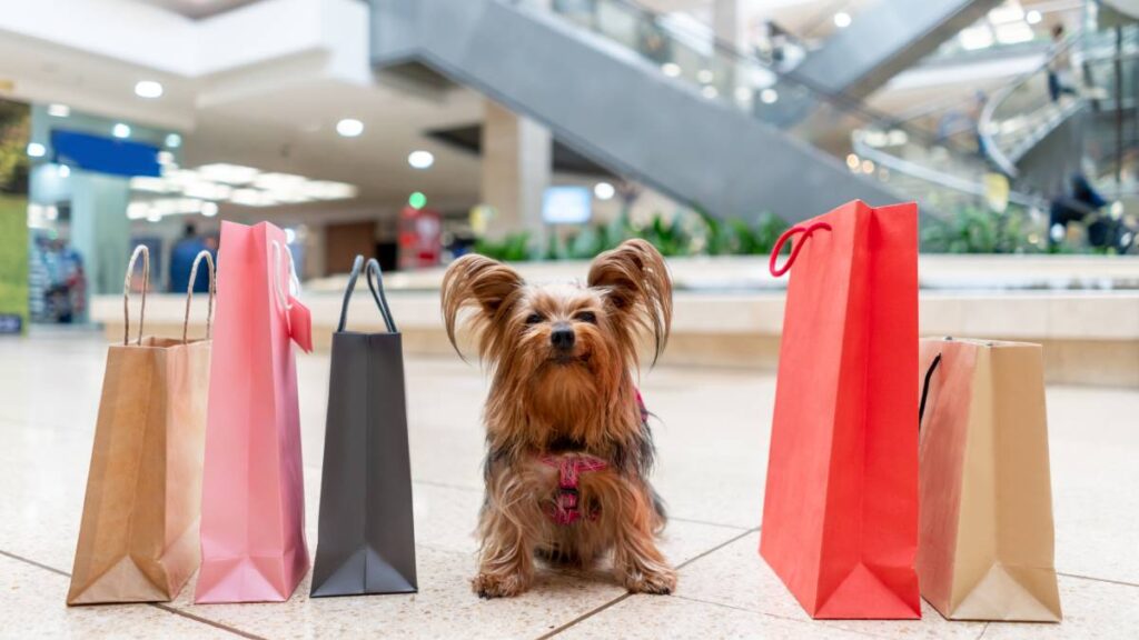 Centros comerciales pet friendly en CDMX