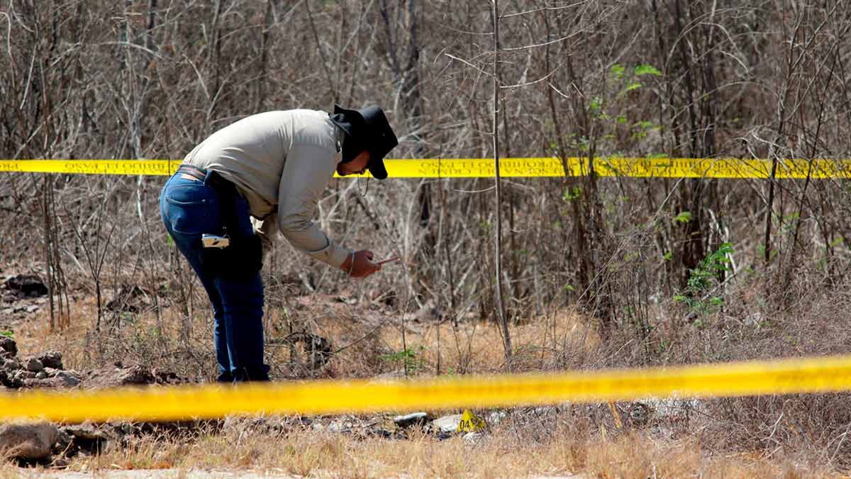 Localizan otro presunto campo de exterminio en Reynosa - UnoTV