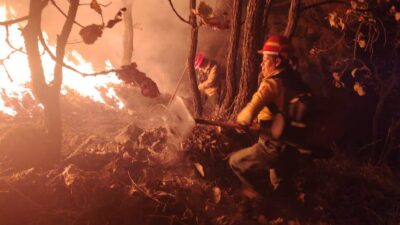 Controlan incendio en Bosque la Primavera en Jalisco; continúan labores de enfriamiento