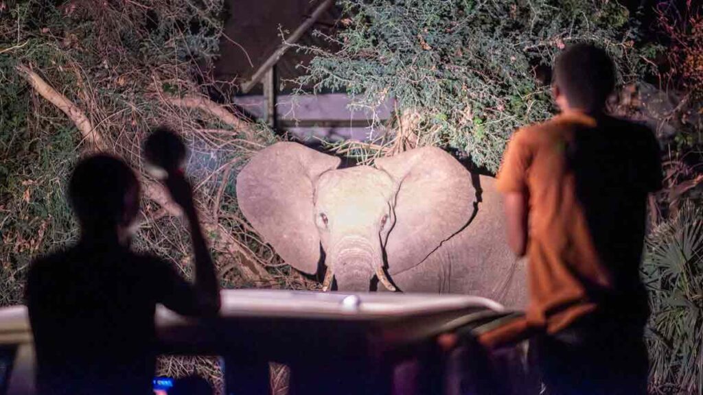 World Press Photo 2025