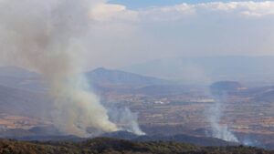 Se registra fuerte incendio cerca del Lago de Texcoco, en el Estado de México