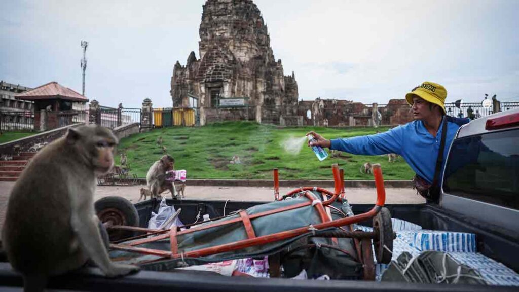 World Press Photo 2025