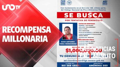 Noticias de hoy 25 de marzo de 2025, en un minuto, hasta las 19:00 horas