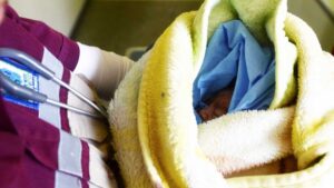 Van 51 bebés muertos por esta enfermedad: lanzan llamado