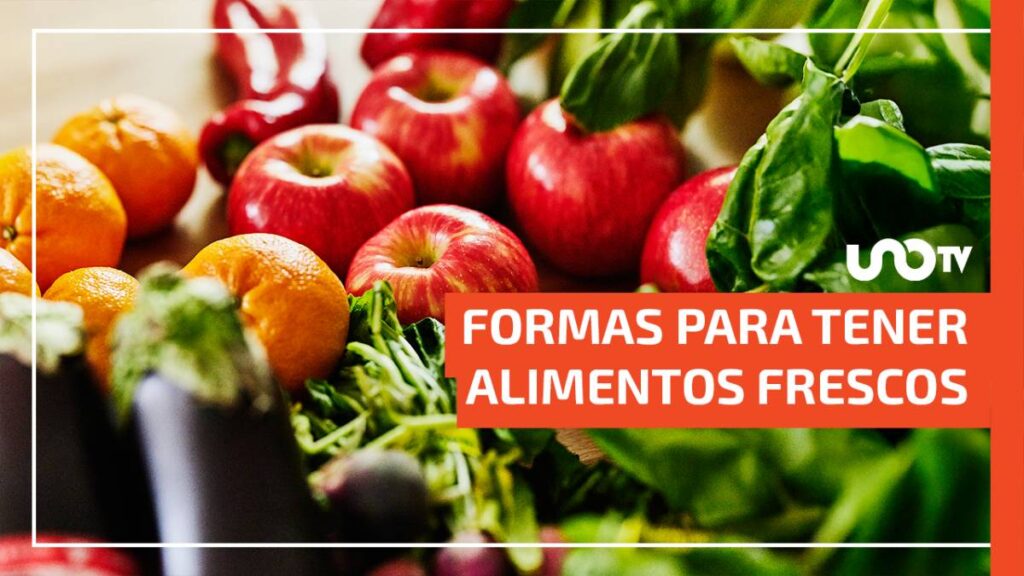 Con estos 5 trucos tendrás alimentos frescos y que duren más, pese al calor