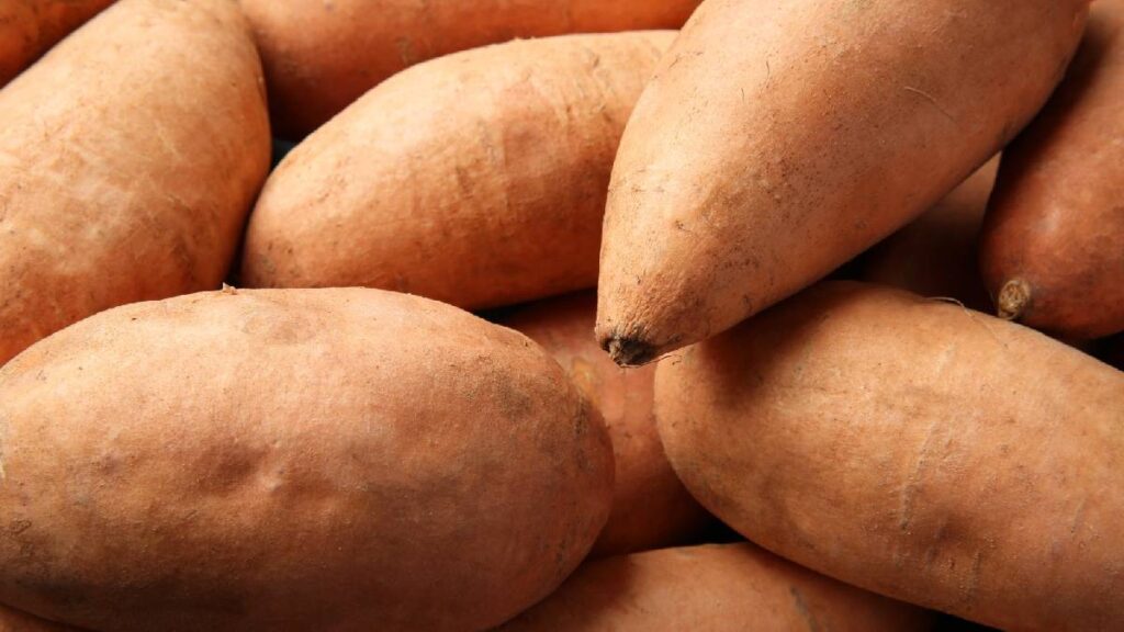Camote