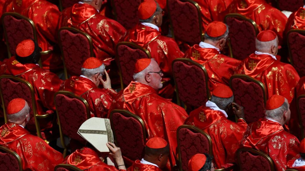 Cardenales en el funeral del Papa Francisco