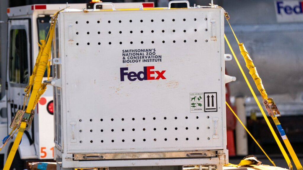 Una nueva campaña de phishing utiliza correos electrónicos falsos de FedEx para engañar a usuarios y obtener su información financiera.