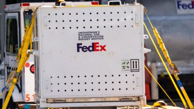 Una nueva campaña de phishing utiliza correos electrónicos falsos de FedEx para engañar a usuarios y obtener su información financiera.