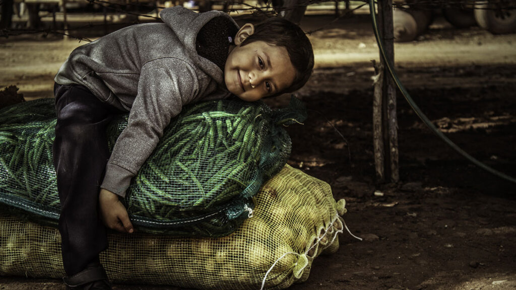 Desnutricion Sobrepeso Alimentos Ninos