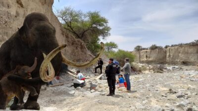 Encuentran Mamut En Tula