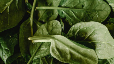 ¿Cuál es el vegetal que estimula el colágeno y ayuda a combatir el dolor en rodillas?