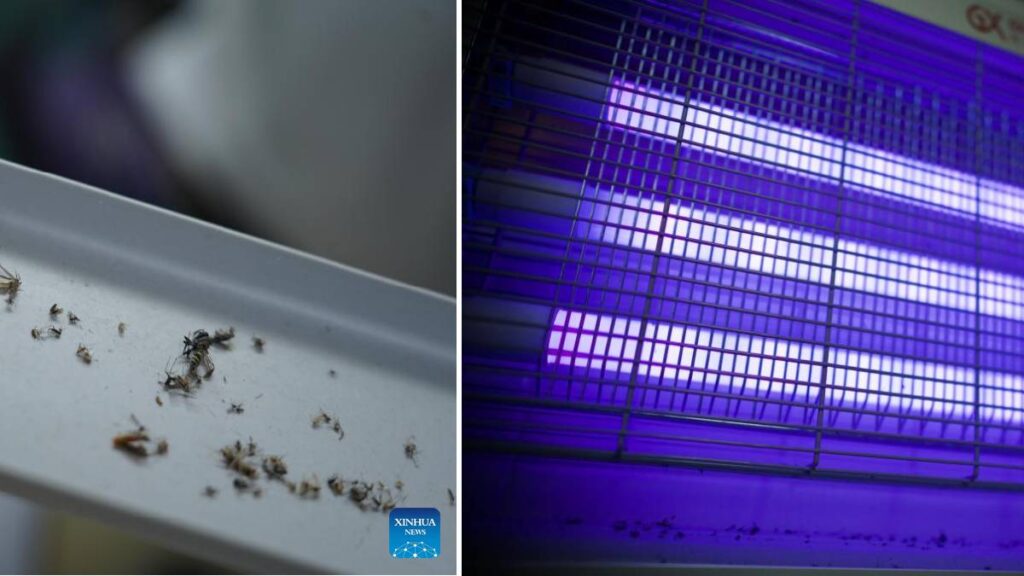 lámparas contra mosquitos combaten dengue en Honduras