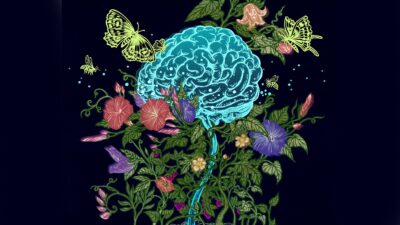 Hormonas como el estrógeno desempeña un papel clave en la salud sexual y reproductiva además puede ayudar al cerebro.