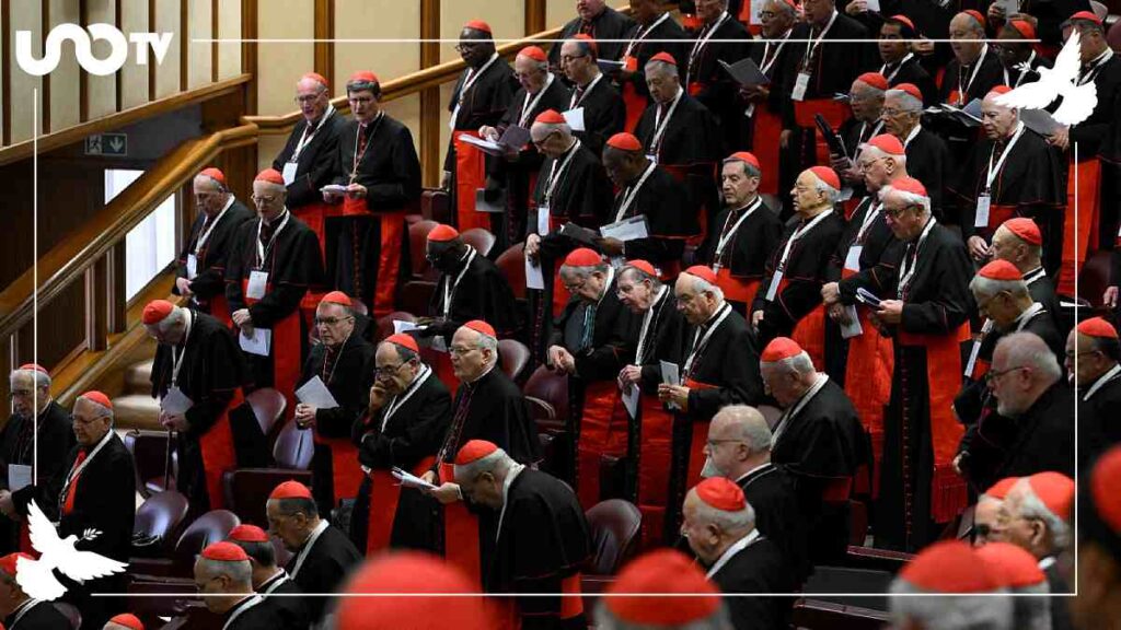 Estos cardenales no podrán votar en la elección del nuevo Papa